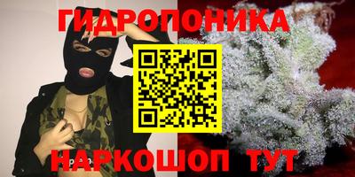 стаф Изобильный