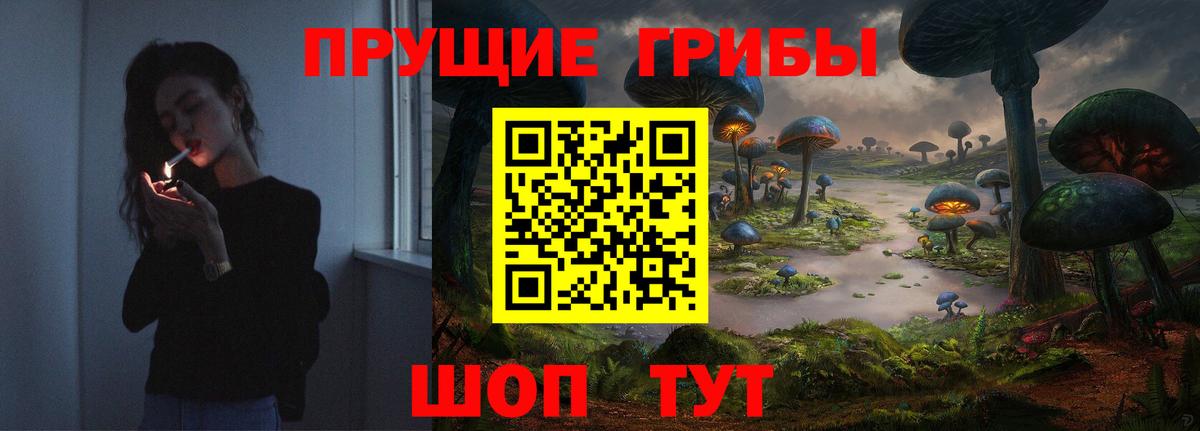 Псилоцибиновые грибы Psilocybine cubensis Ленинск-Кузнецкий
